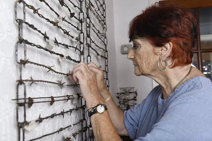 Brytyjski zbieracz drutu kolczastego