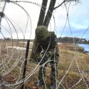 Barbed wire fence in Estonia